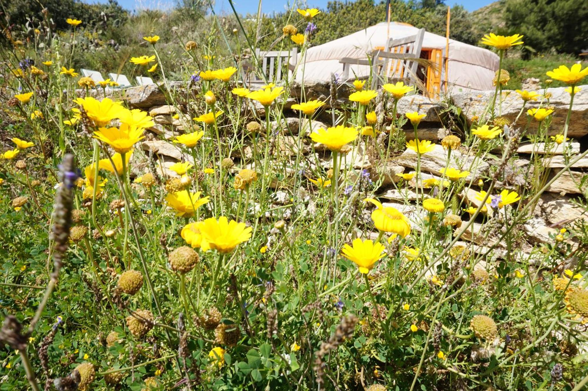 Bed & Breakfast Alegria Y Luna Bed & Breakfast Sorbas Exterior photo