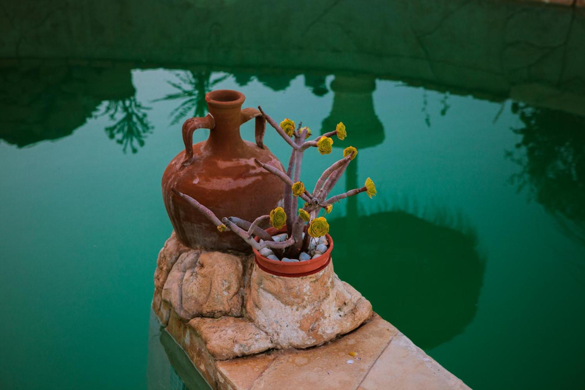 Bed & Breakfast Alegria Y Luna Bed & Breakfast Sorbas Exterior photo